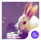 Cute-APUS Launcher theme विंडोज़ पर डाउनलोड करें