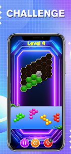 Angleglyph Puzzle 3