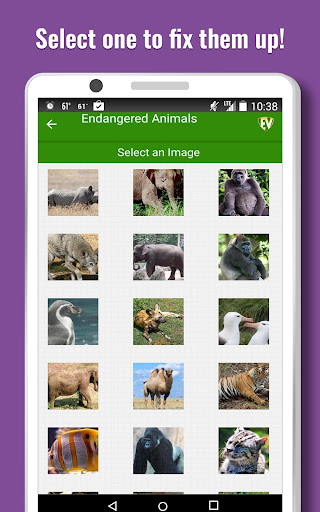 Screenshot of Endangered Animals Offline App