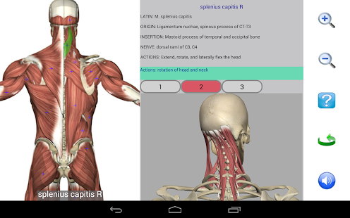 Visual Anatomy Free 0 Screenshots 18