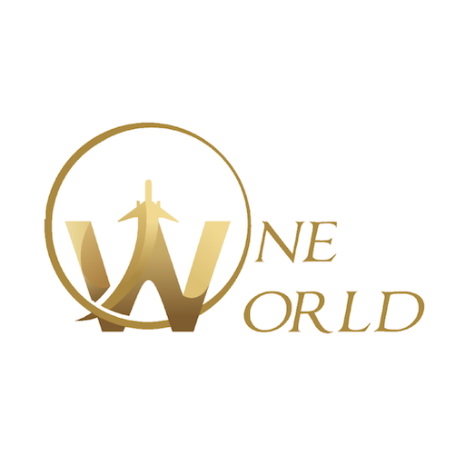 One World Delivery logo