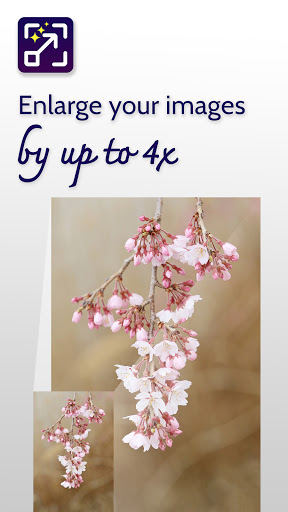 Super Image Enhancer - enlarge and improve images