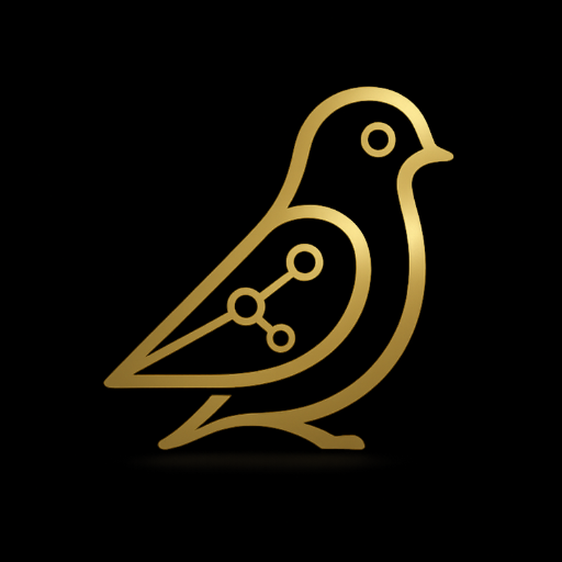 My Pigeon International