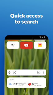 Yandex Browser with Protect 23.1.1.79 Apk 1