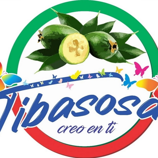 tibasosa logo