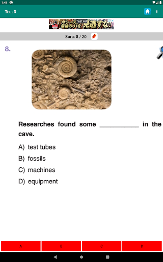 8. Sınıf İngilizce Lgs İnternetsiz Konu ve Testler