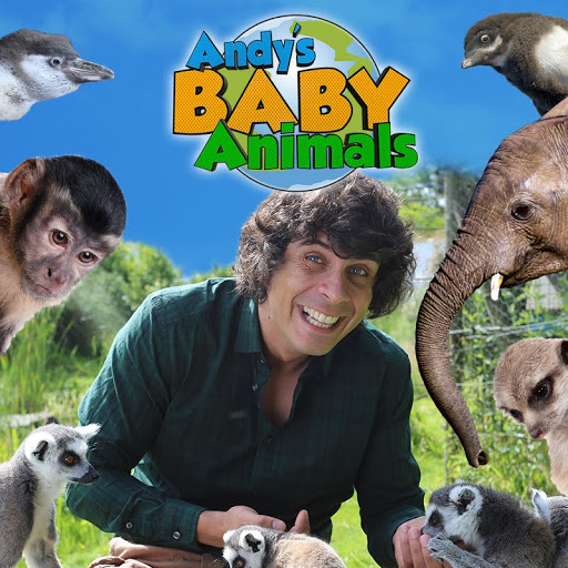 andys adventures cbeebies