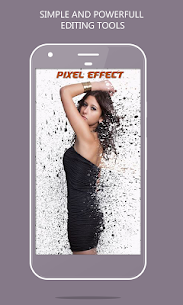 Pixel Effect For PC installation