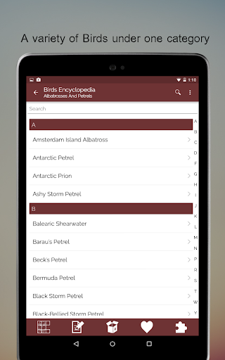 Screenshot of Birds Encyclopedia Offline App