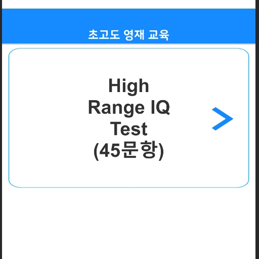 초고도영재교육 IQ Test Screen 3