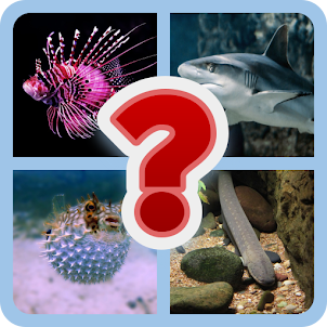 Quiz: Guess the Fish