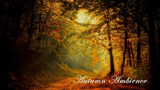 Autumn Ambience Unknown