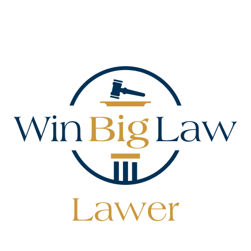 Win Big Law - Lawyer logo