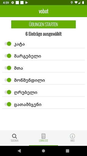 vobot Georgisch Screen 3