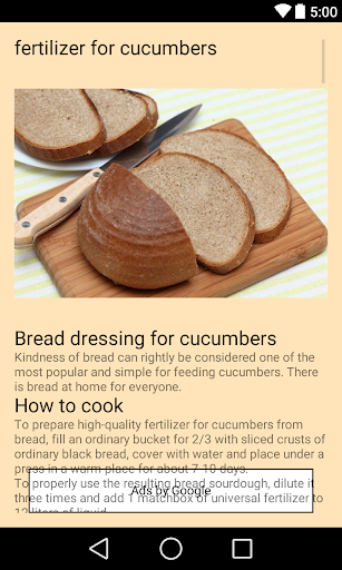 cucumber (cucumber) Screen 3