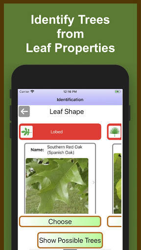 Android application Forest Tree Identification screenshort