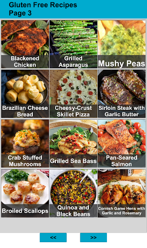 120 Gluten Less Recipes Screen 3