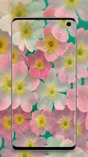 Flower Wallpaper