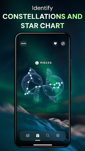 Star Gazer - Night Sky View