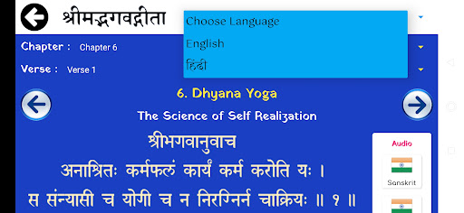 Bhagavad Gita - Multi Language