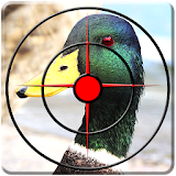 Sniper Duck Hunting Season 3D icon