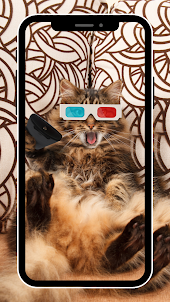 Funny Cat Cute Wallpaper