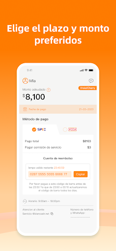 MaxiCredito Screen 3