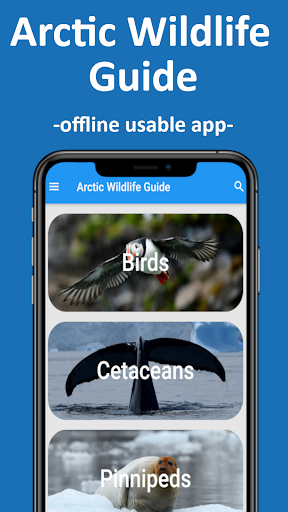 Android application Arctic Wildlife Guide screenshort