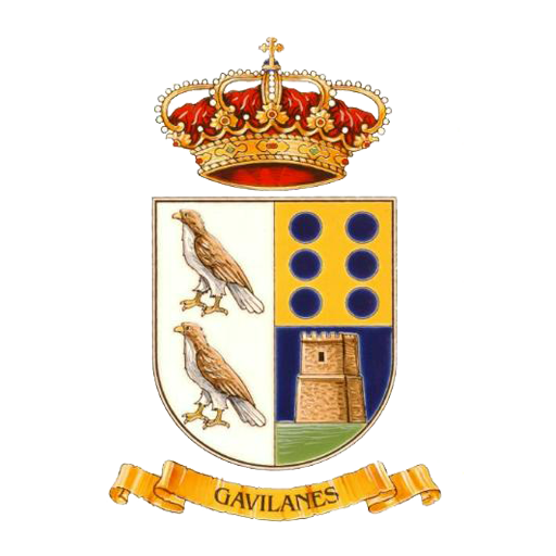Gavilanes Informa logo