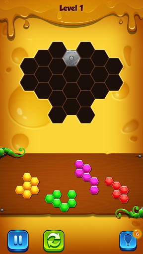 Hexagon Block Screen 3