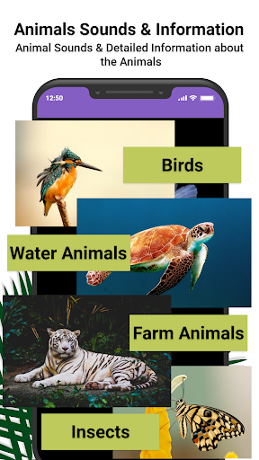 Android application Animal Ringtones: Animal Sound screenshort
