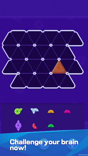 Triangle Puzzle