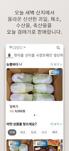 이타 다잇다 Screen 3
