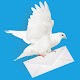 TidyPigeon-Gmail Inbox Cleaner
