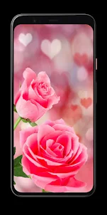 Rose Wallpaper HD full screen