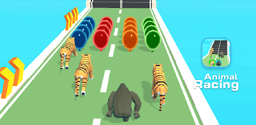 Animal Racing