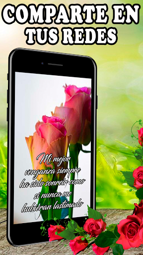 Rosas Rojas Hermosas Flores Screen 2