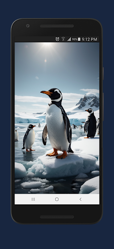 Winter 250 HD Wallpapers