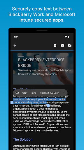 BlackBerry Enterprise BRIDGE Screen 2