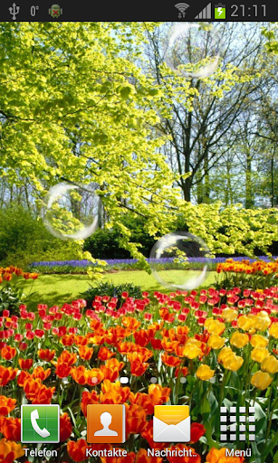 Tulips live wallpaper Screen 3