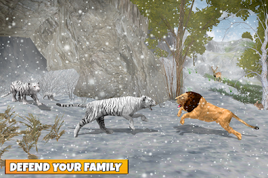 Snow Tiger Family