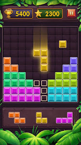 Block Puzzle Classic Game 2022  screenshots 4