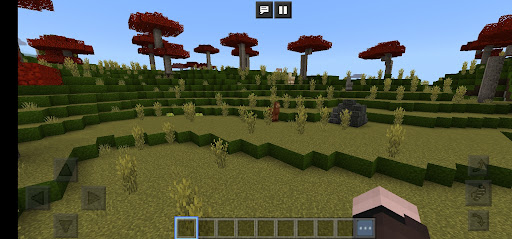 Craftsman  Building Adventure