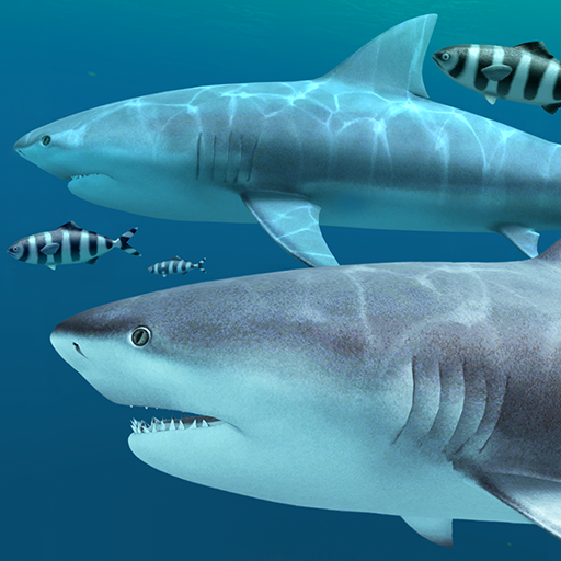 Sharks 3D - Live Wallpaper 1.1.1 Icon