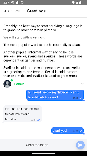 Lingberries Chat Screen 2