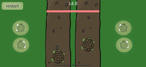Turtle Run Game! Screen 3