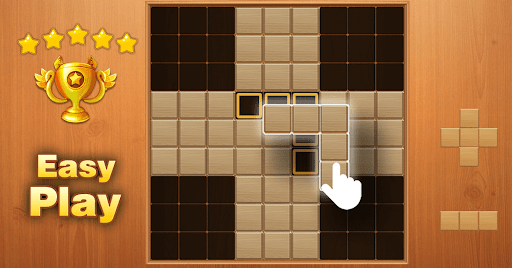 Wood Block Puzzle screenshot 11