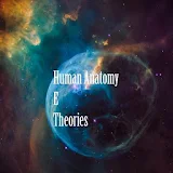 Human Anatomy E Theories icon