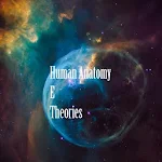Human Anatomy E Theories Apk