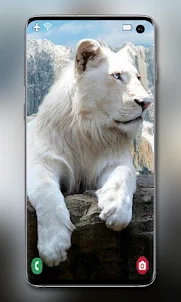White Lion Wallpaper